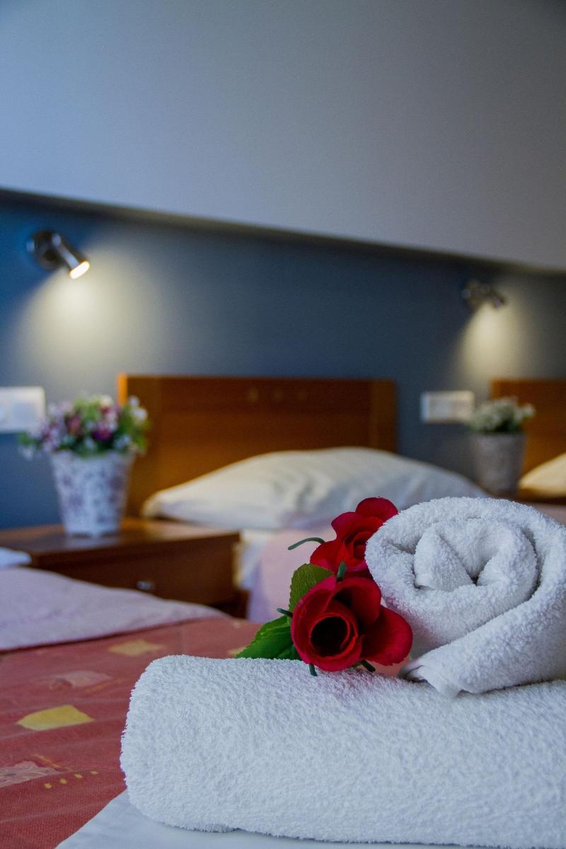 Hotel Rodon image