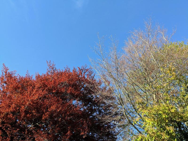 Weirholme Annex image