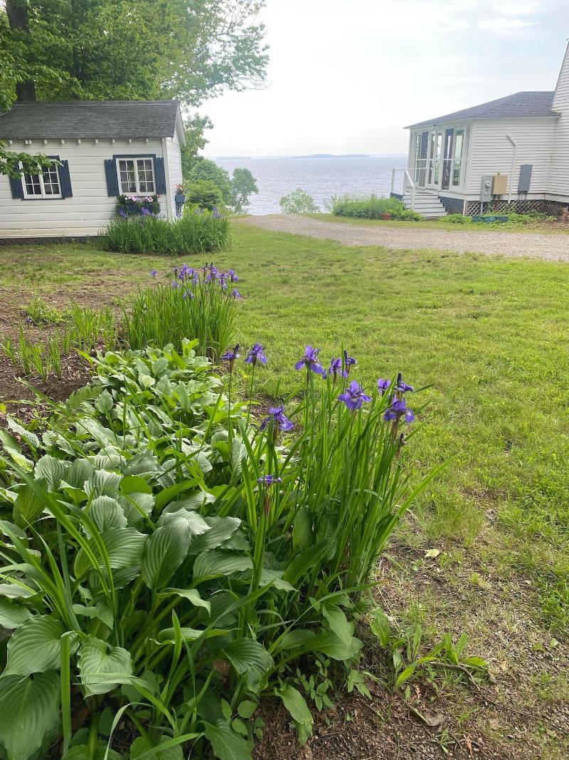High Tide Inn