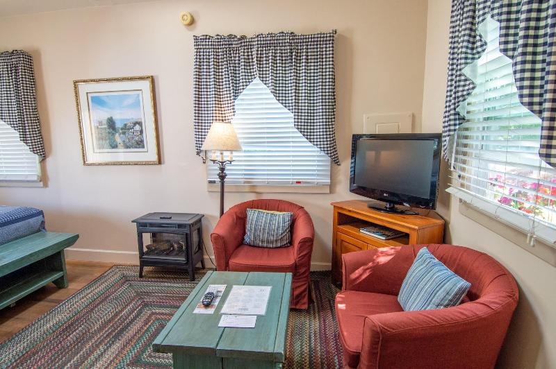 The Swan Hotel image