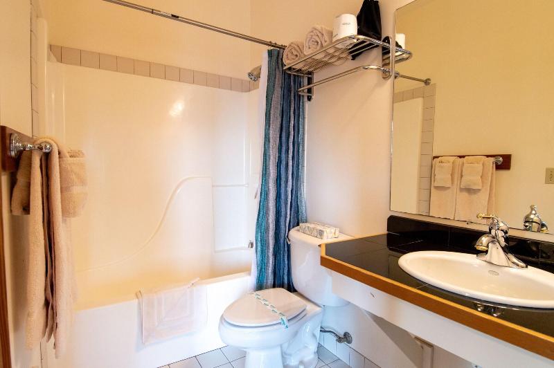The Swan Hotel image