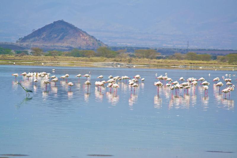 Sirville Lake Elementaita Lodge image