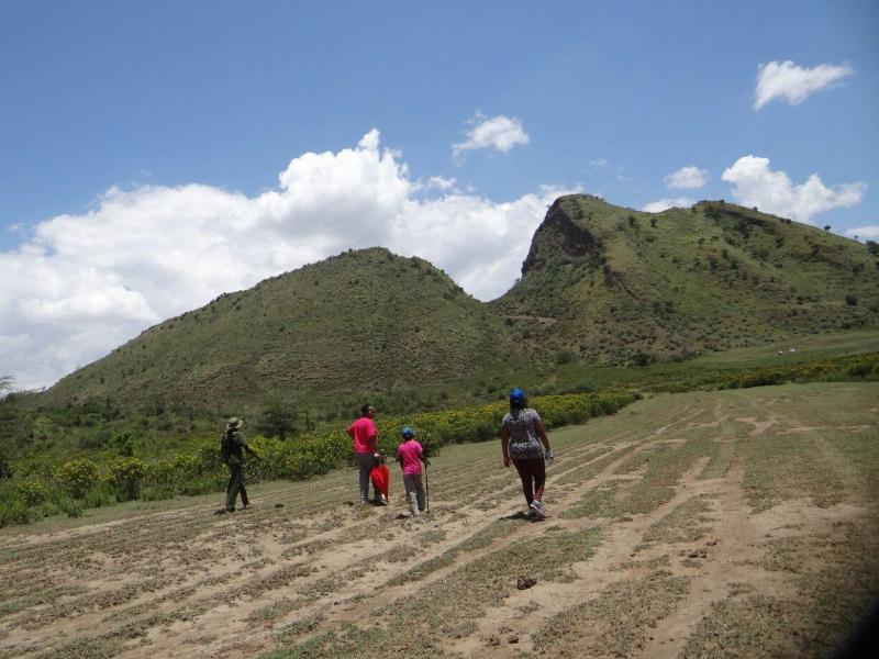 Sirville Lake Elementaita Lodge image