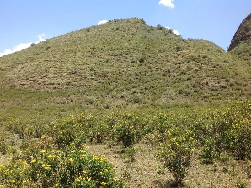 Sirville Lake Elementaita Lodge image