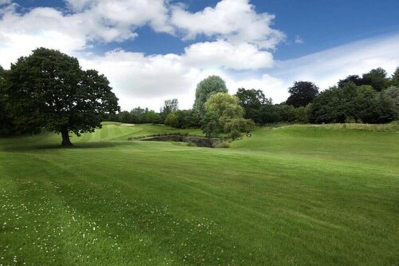 The Tytherington image