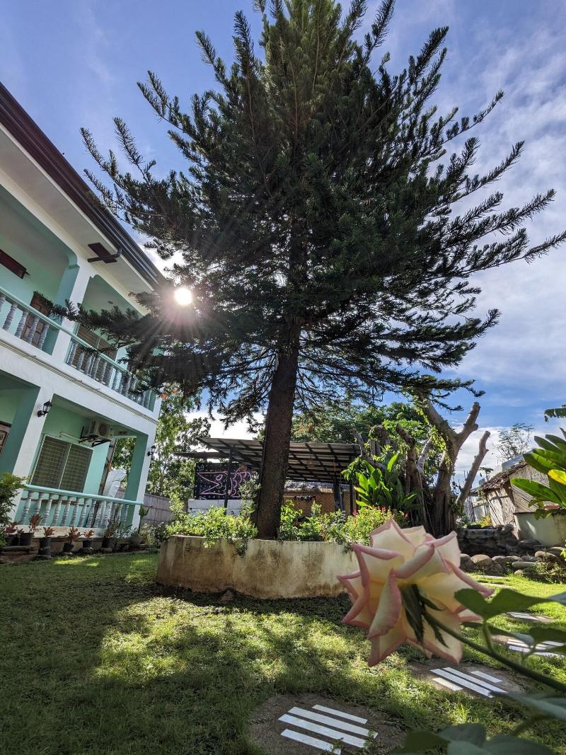 Citadel Alona Inn image