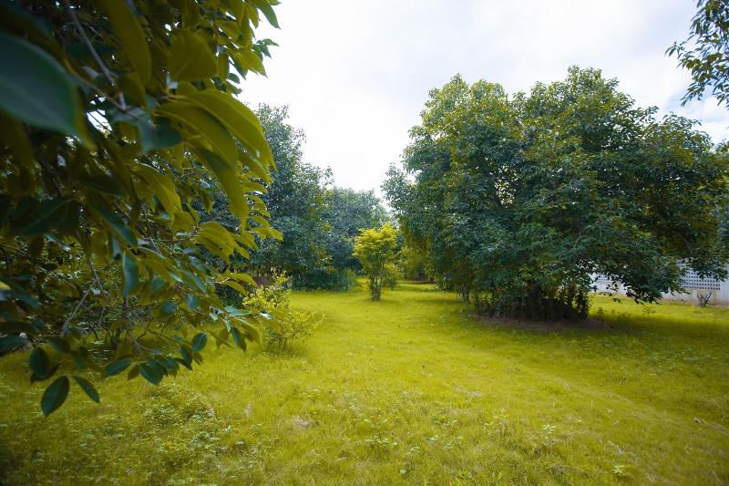 Nature Village Resort image