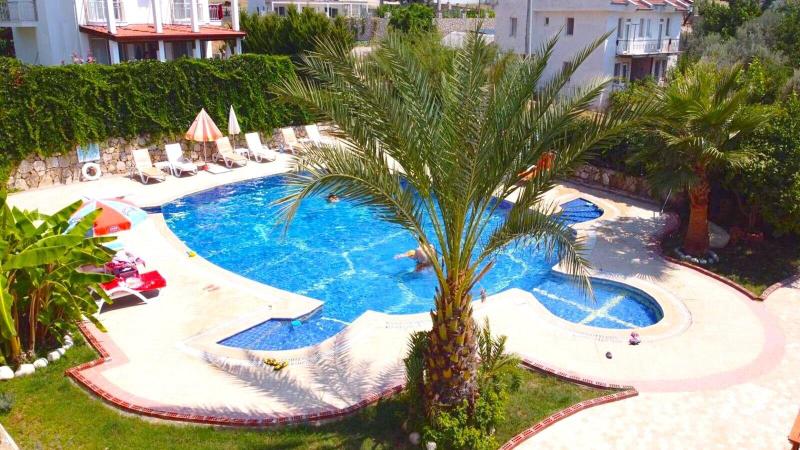 Turtle Apart Hotel image