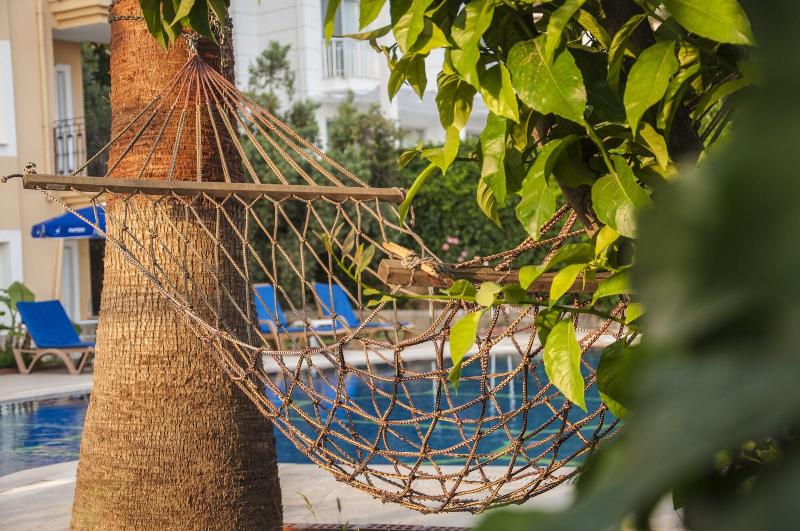 Turtle Apart Hotel image
