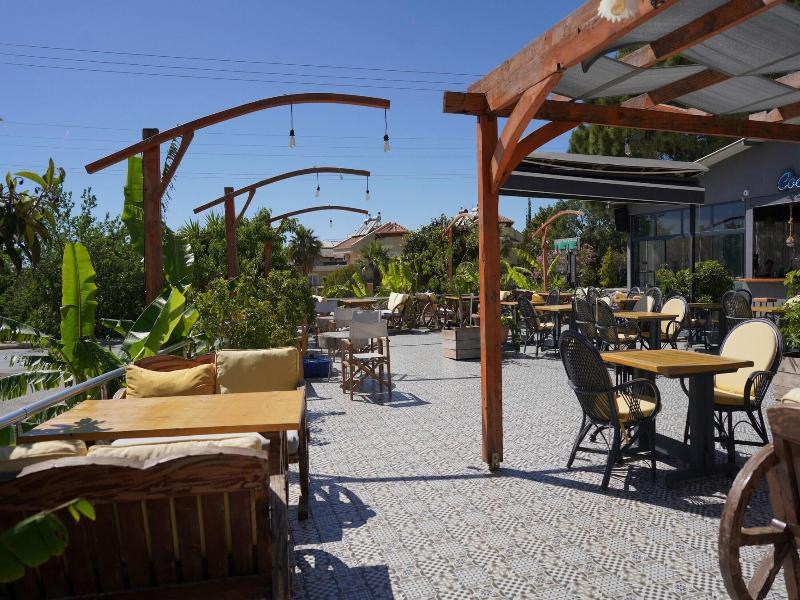 Turtle Apart Hotel image