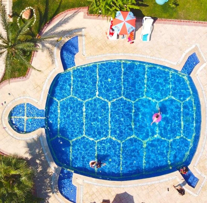 Turtle Apart Hotel image