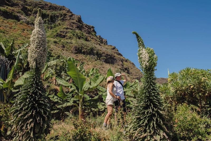 Hacienda El Terrero image