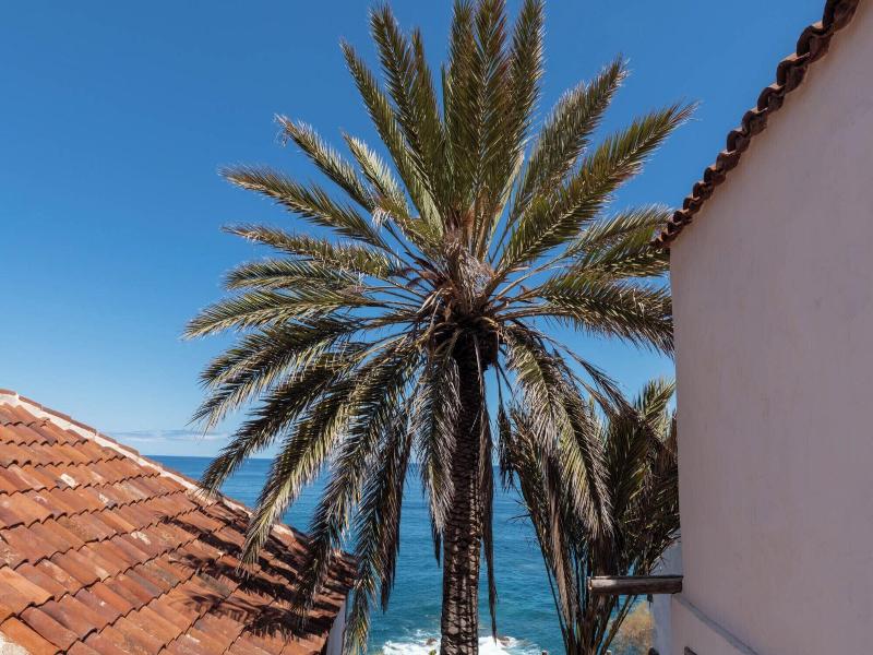 Hacienda El Terrero image