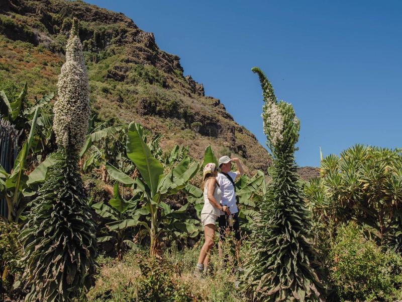 Hacienda El Terrero image
