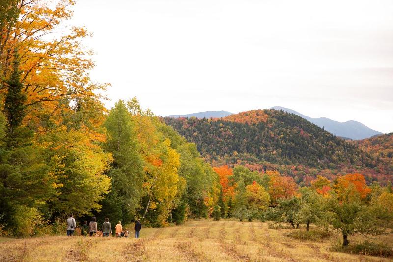 Lake Placid Inn Boutique Hotel image