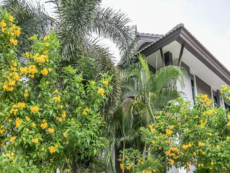 Baan Kiengtawan image