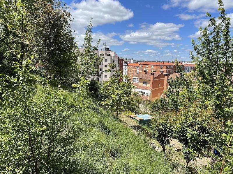 Apartamentos Aljama image