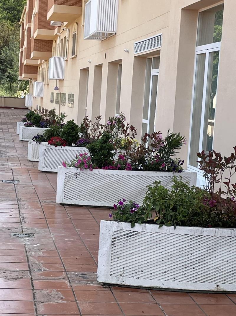 Apartamentos Aljama image