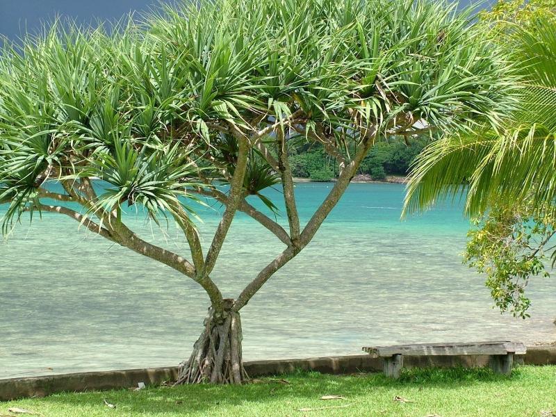 Pacific Lagoon Apartments image
