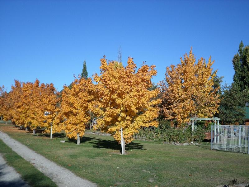 Mirabell Chalets image