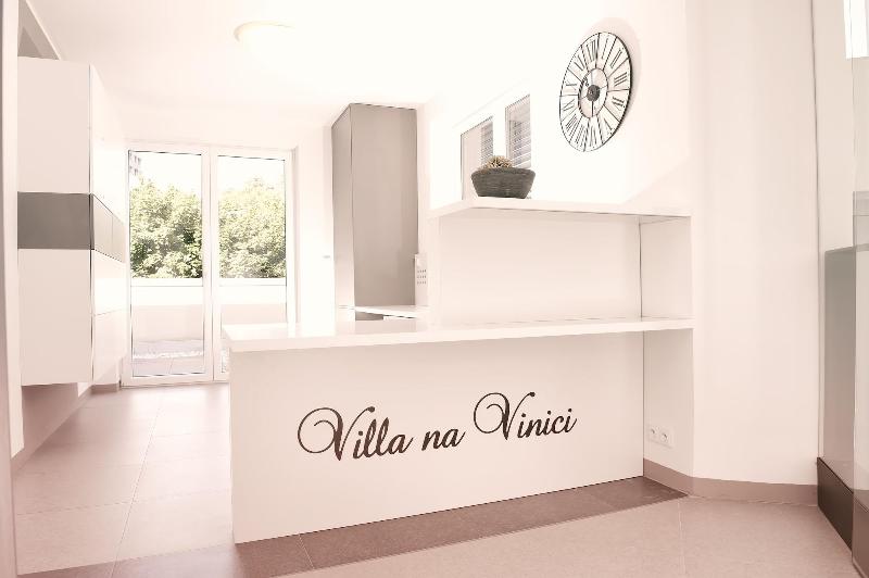 Villa Na Vinici image