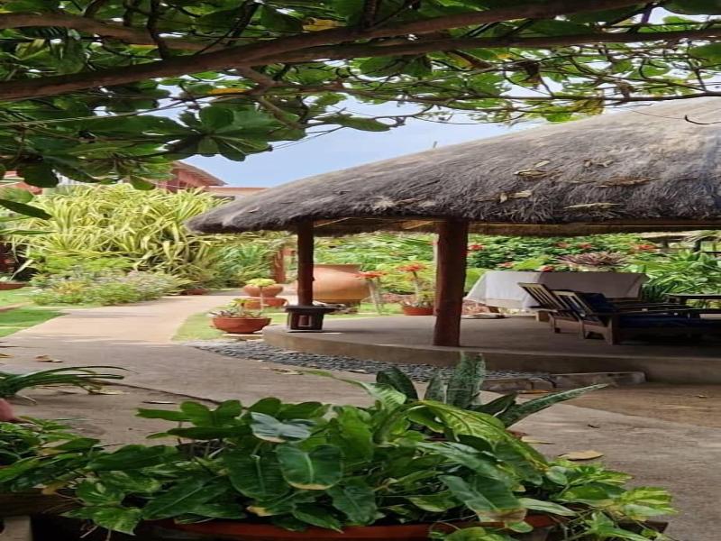 New Robinson Plage image