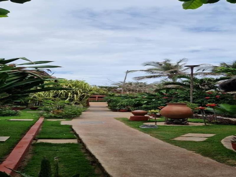 New Robinson Plage image