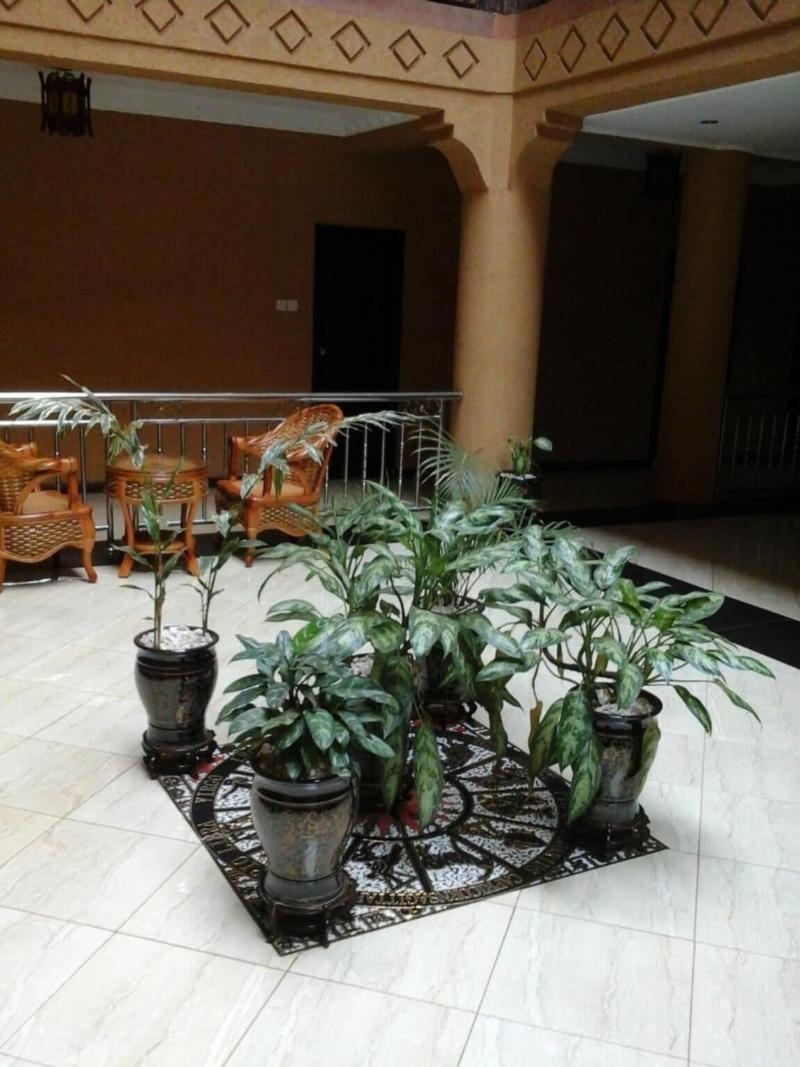 Biraj International Hotel image