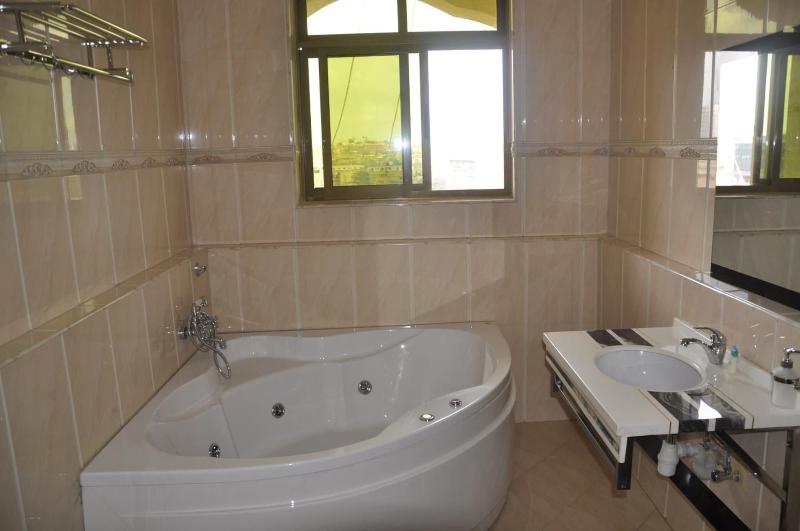 Biraj International Hotel image