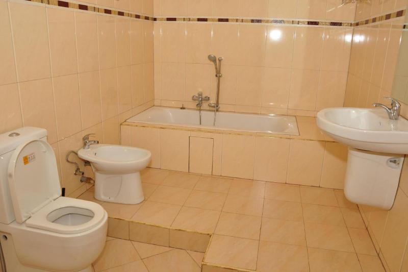 Biraj International Hotel image