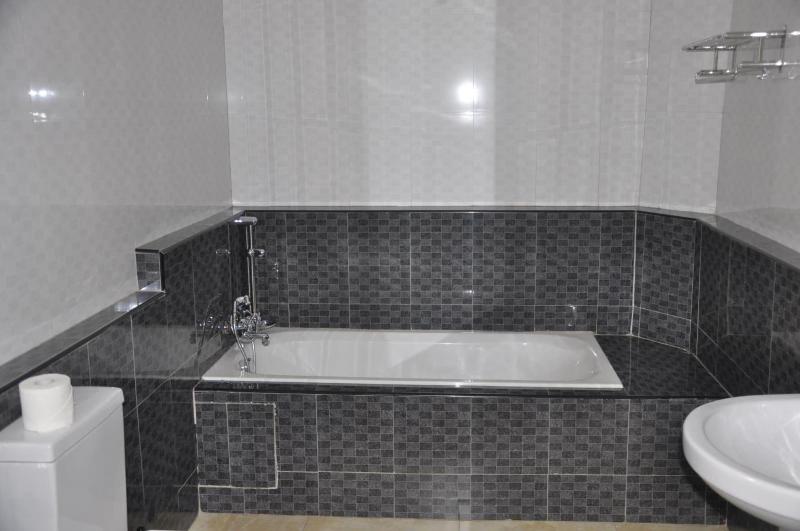 Biraj International Hotel image