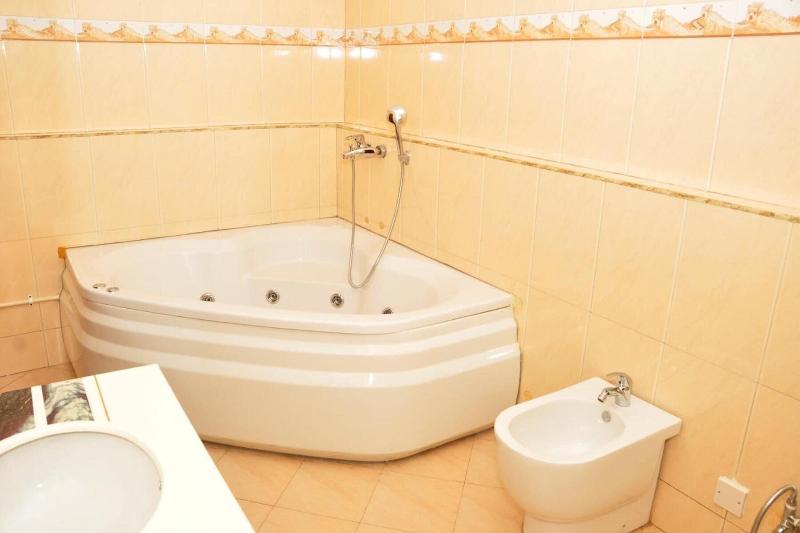 Biraj International Hotel image