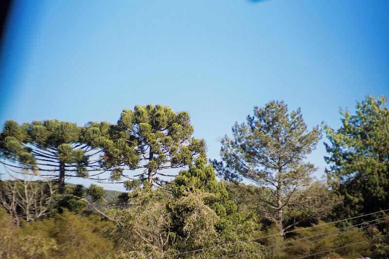Pousada Suia A Mineira — general view