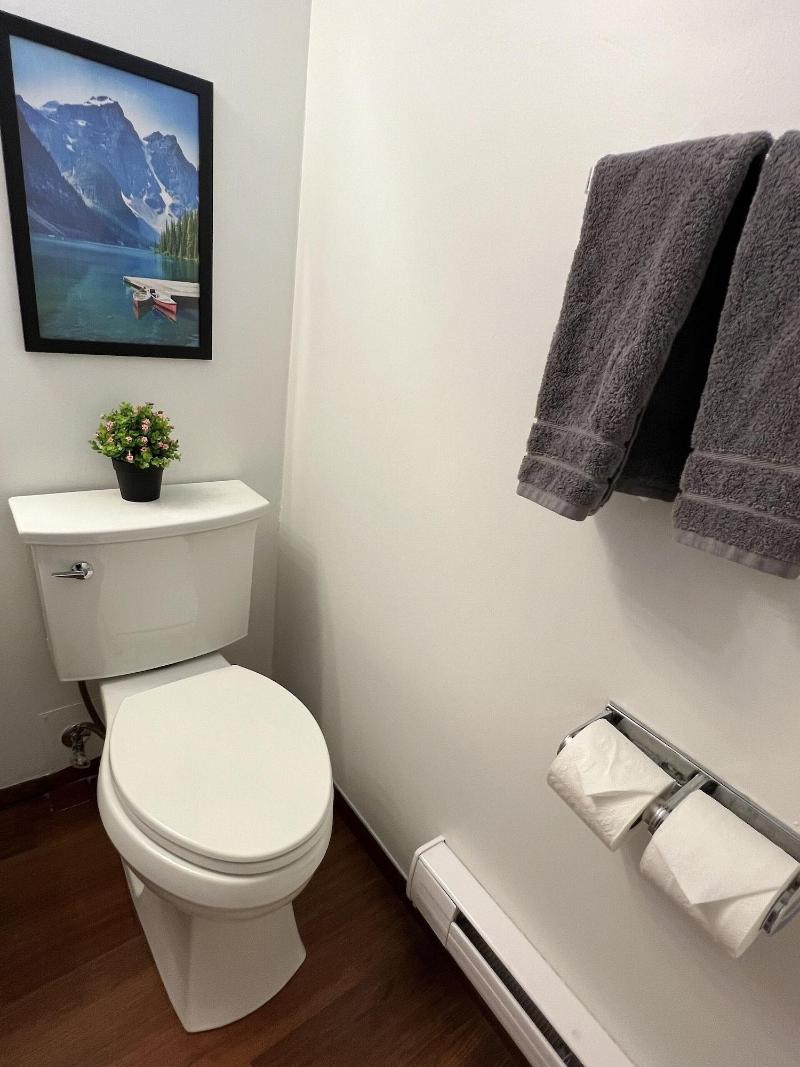 Monashee Motel image