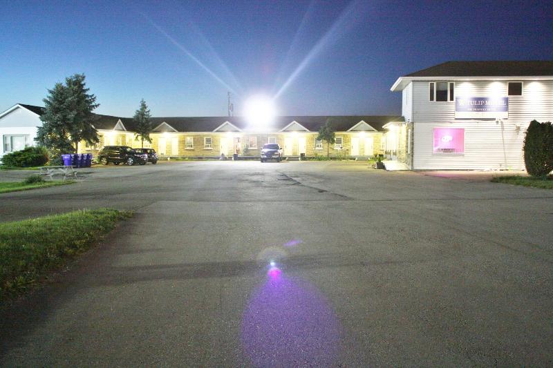 Tulip Motel image