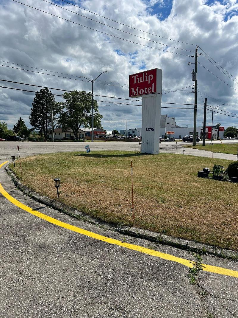 Tulip Motel image