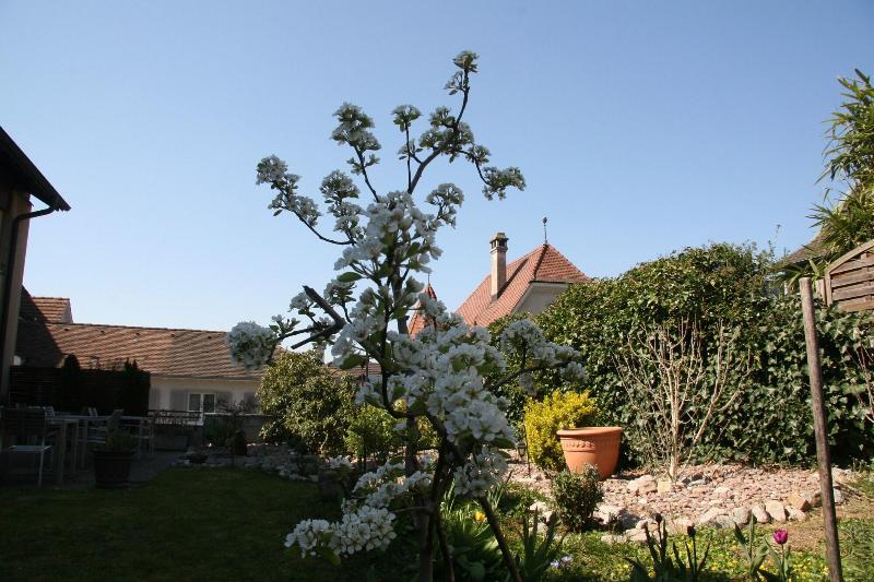 Hotel Eremitage image