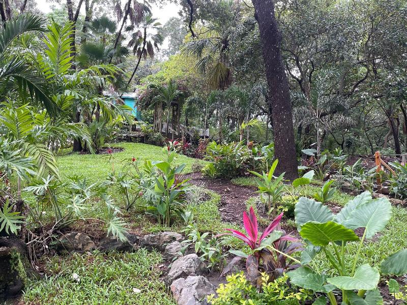 Upachaya image