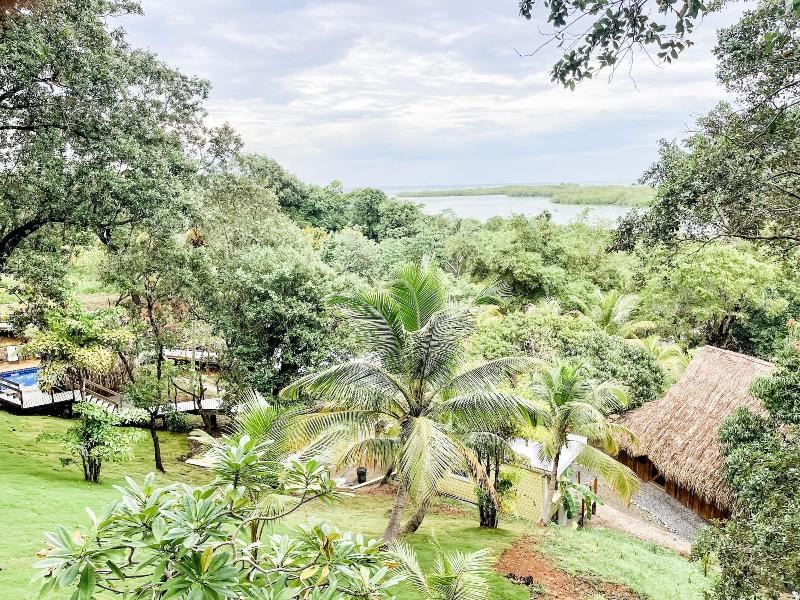 Upachaya image