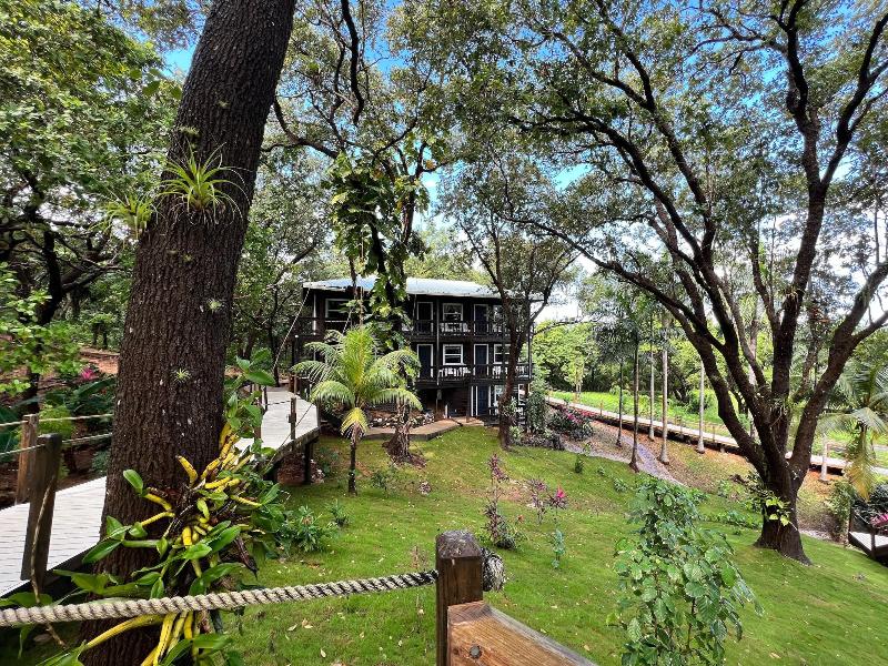 Upachaya image