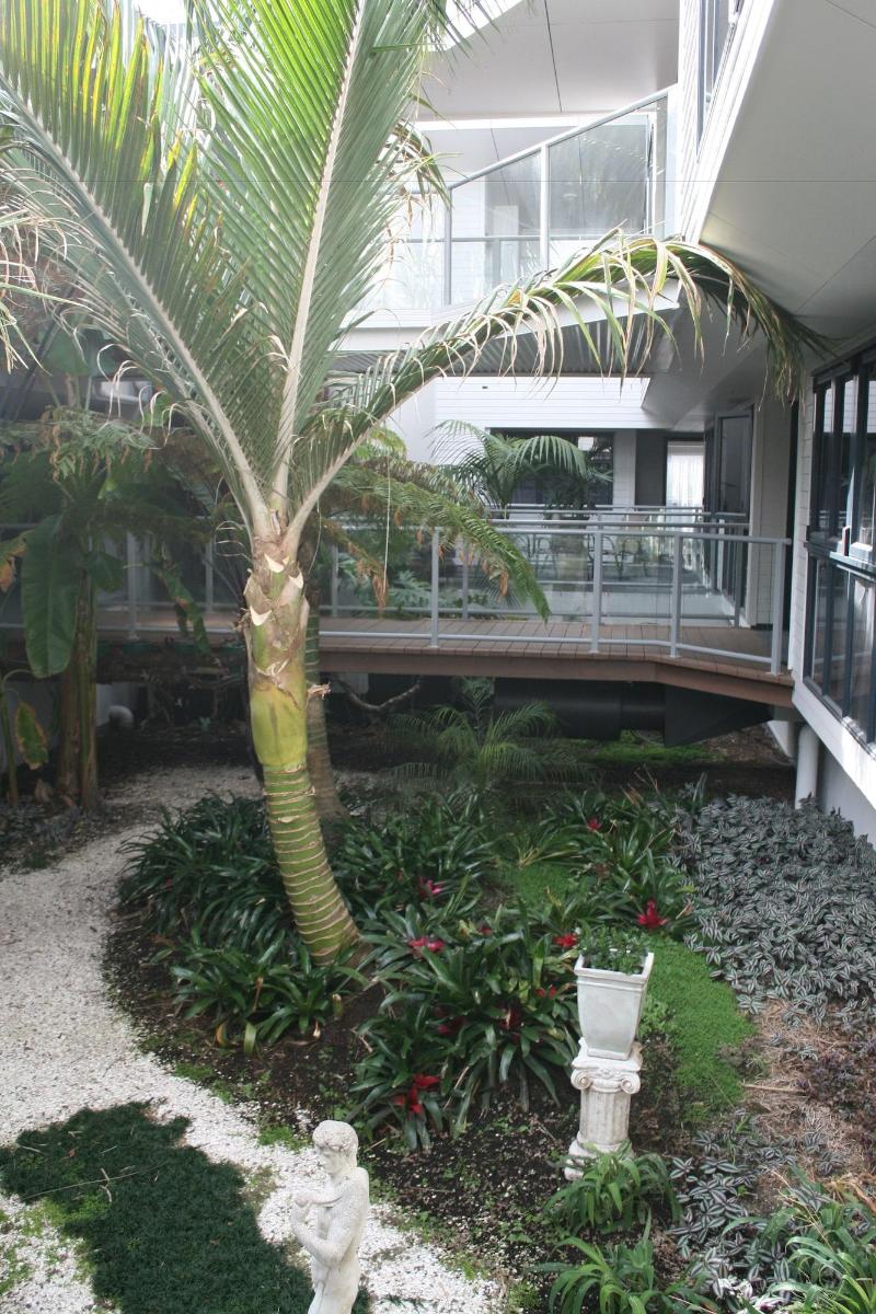 Atlas Suites And Apartments image