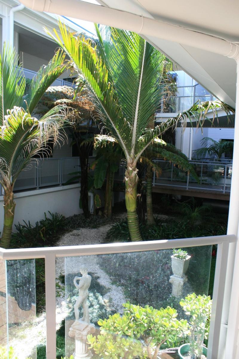 Atlas Suites And Apartments image