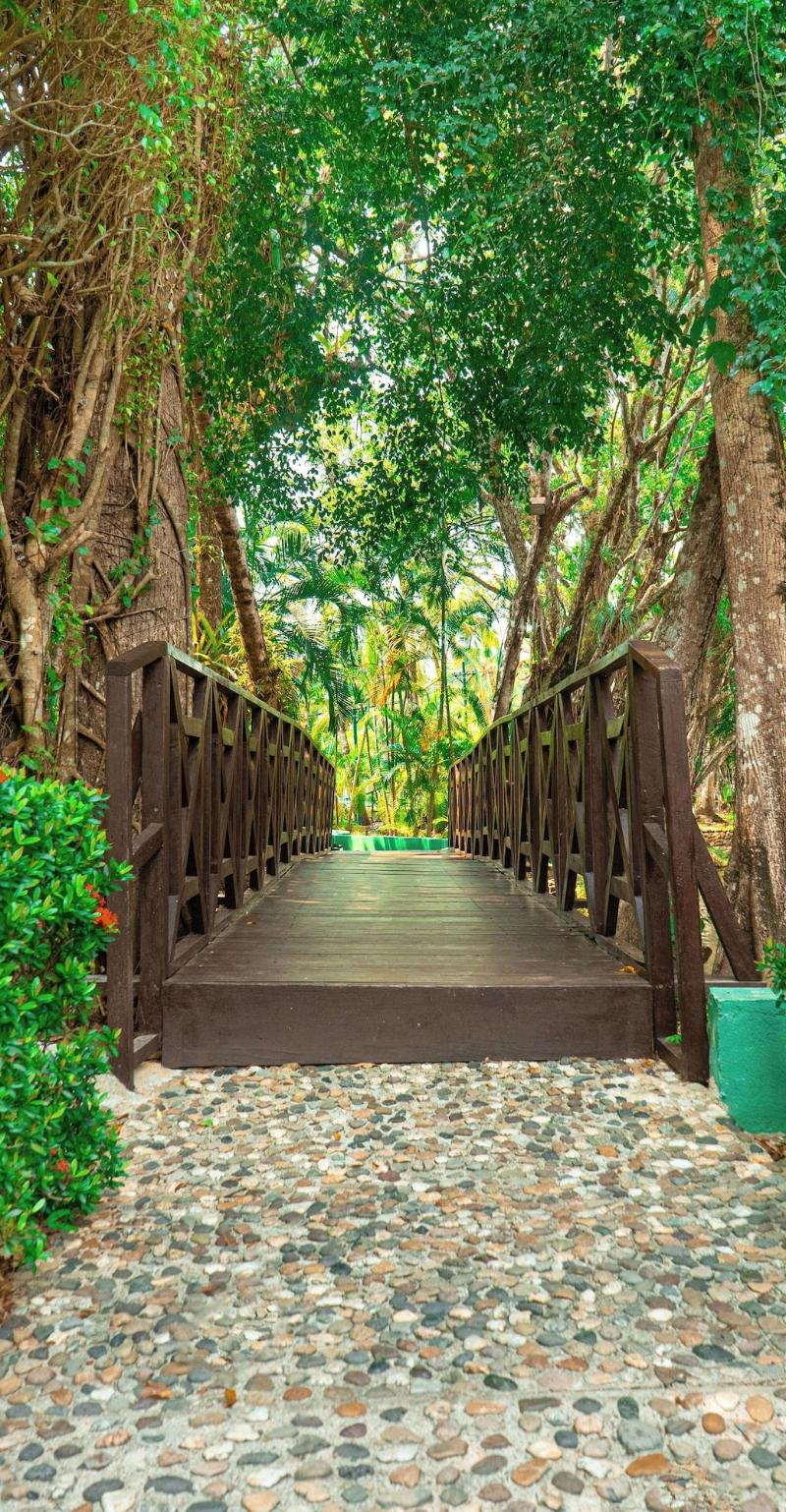 Hotel Mansion Del Rio image