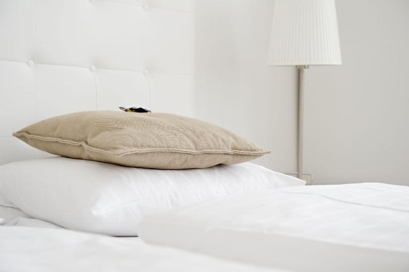 Burgblickhotel image