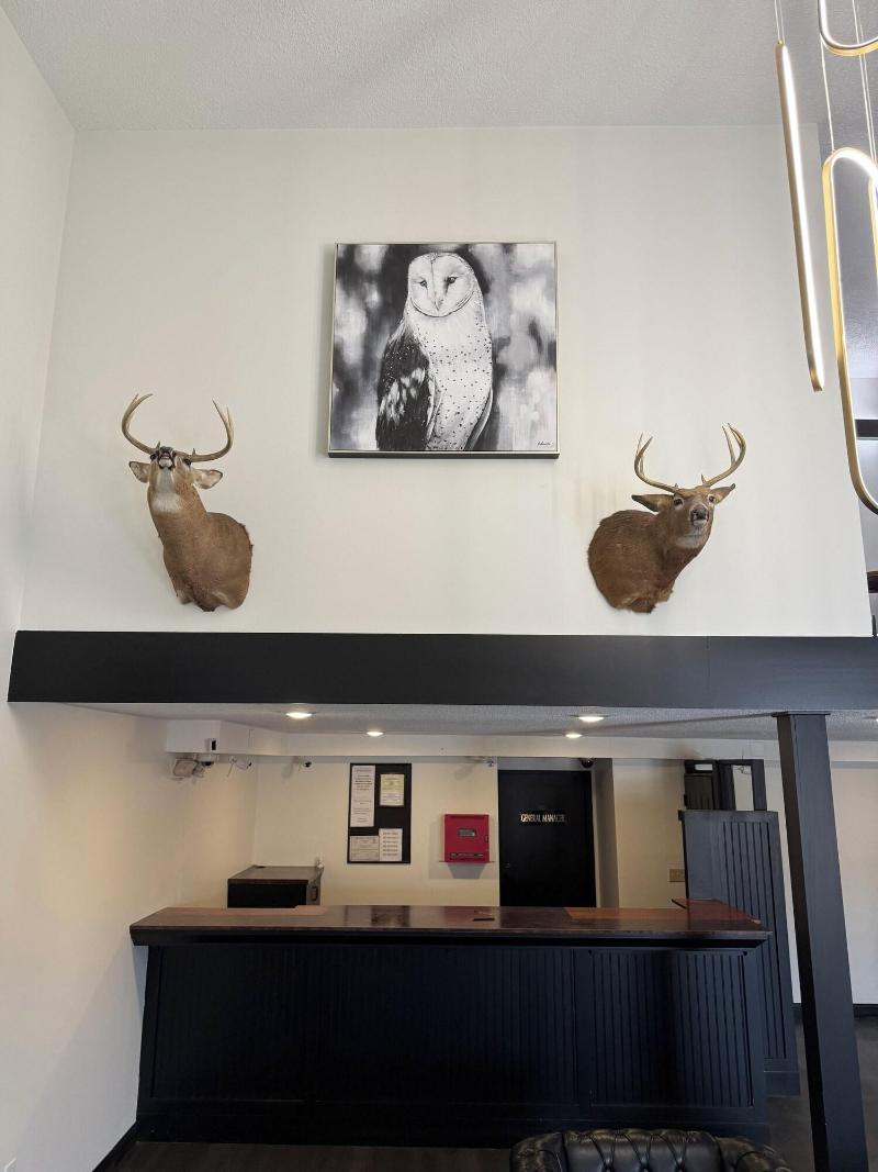 Guest Lodge image