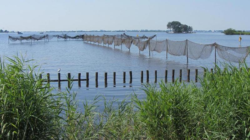De Mariahoeve image