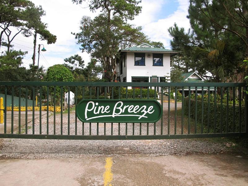 Pine Breeze Cottages image