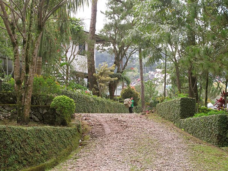 Pine Breeze Cottages image