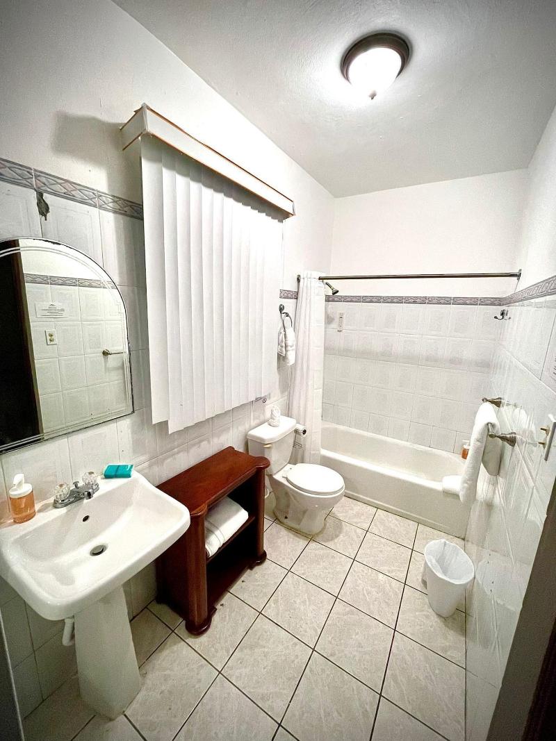 The Village Inn Hotel image