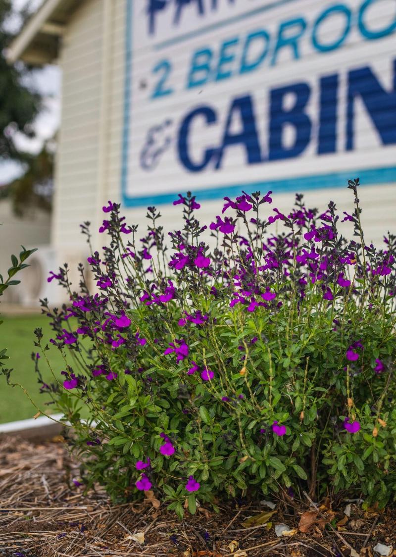 The Golfers Inn image